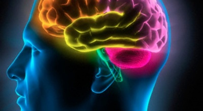 Cerebro75867