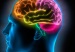 Cerebro75867