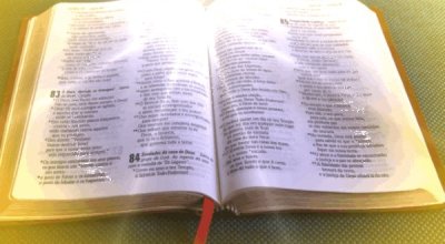 biblia_2013