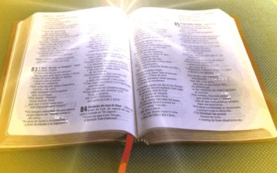 biblia_2013
