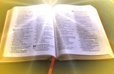 biblia_2013