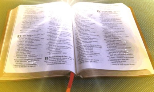 biblia_2013