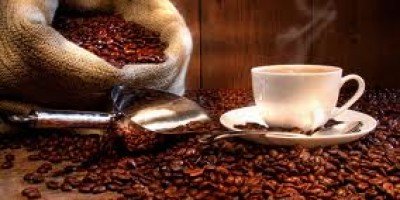 cafe7645635tfgfdf