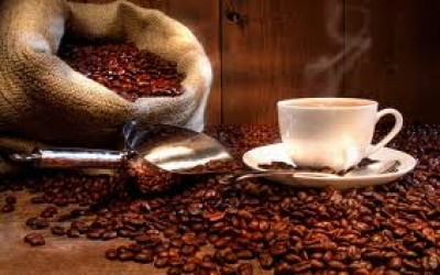 cafe7645635tfgfdf