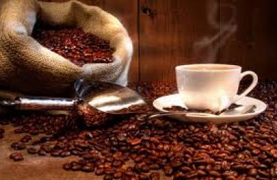 cafe7645635tfgfdf