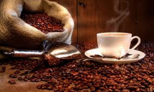 cafe7645635tfgfdf