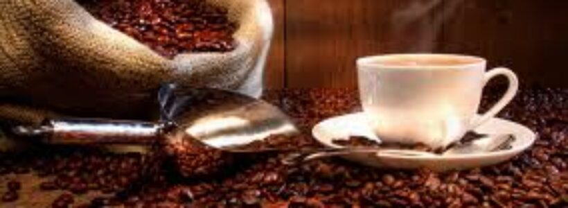 cafe7645635tfgfdf