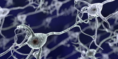 cocaina_y_neuronas