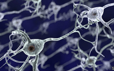 cocaina_y_neuronas