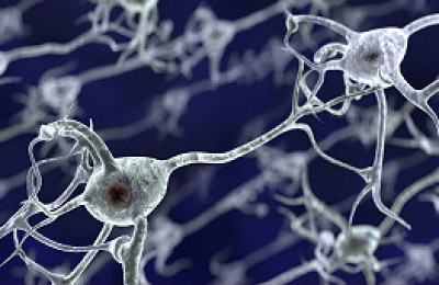 cocaina_y_neuronas