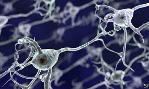cocaina_y_neuronas