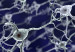 cocaina_y_neuronas