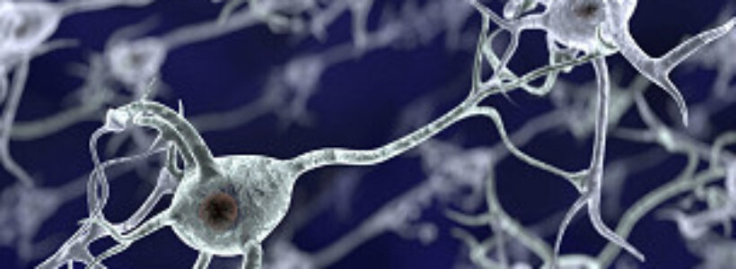 cocaina_y_neuronas