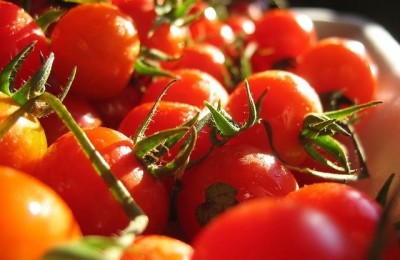 tomatoes