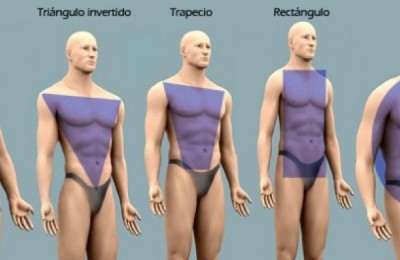 tiposdecuerpos_hombres_0