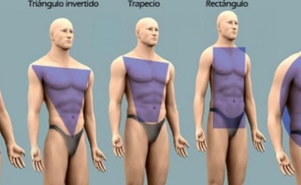 tiposdecuerpos_hombres_0