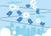 twitter36836rtwr
