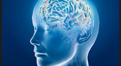 cerebro_39uihgg