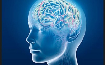 cerebro_39uihgg