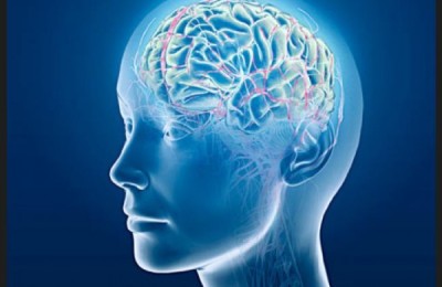 cerebro_39uihgg