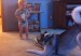 dog_baby34784532