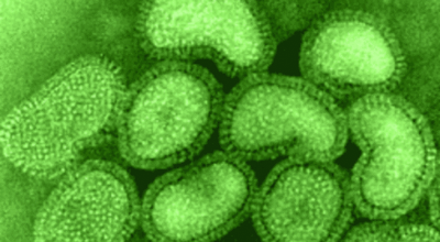 influenza20a20viruses