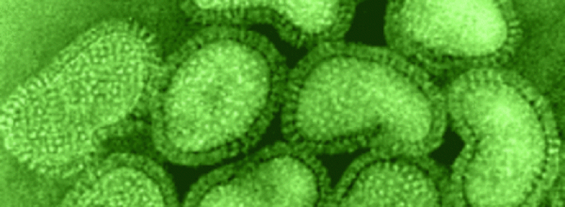 influenza20a20viruses