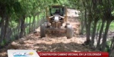 la_colora_1_210_120