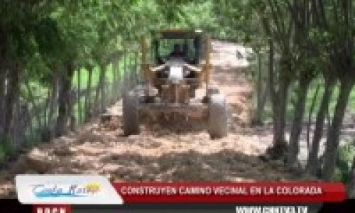 la_colora_1_210_120