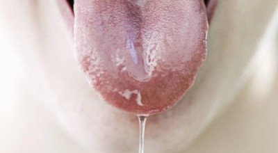 tongue-saliva