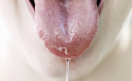 tongue-saliva