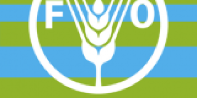 v0000010769cxh_dia_mundial_de_la_alimentacion