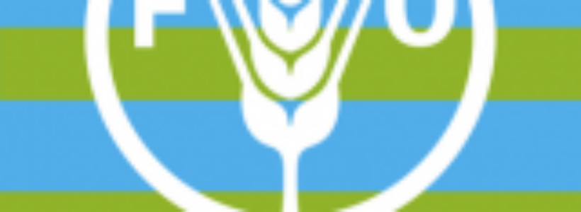 v0000010769cxh_dia_mundial_de_la_alimentacion