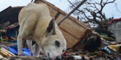 7b819896-4122-4523-9426-856cff24204e_W_00600