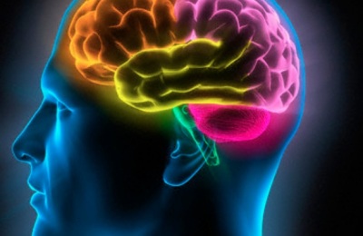 Cerebro735696245568977