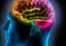 Cerebro735696245568977
