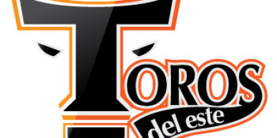 Toros