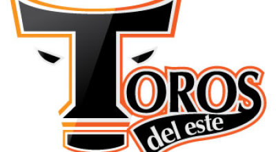 Toros