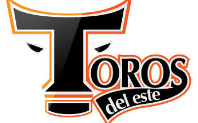 Toros
