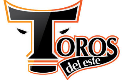 Toros
