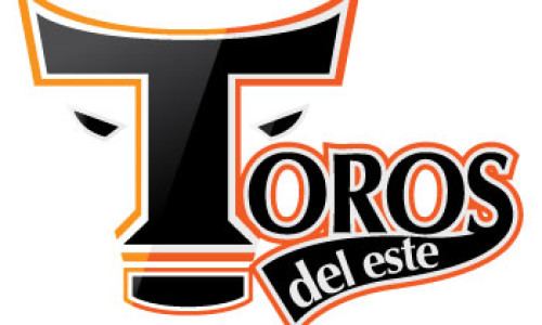 Toros