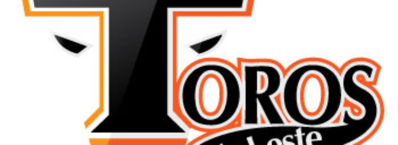 Toros