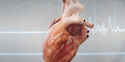 e49b629962fb8fdd221b18dfeef0d5a6_article
