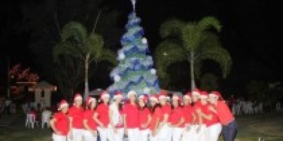 base_aerea_arbol_210_120