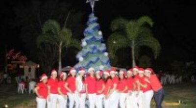 base_aerea_arbol_210_120