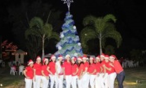 base_aerea_arbol_210_120