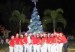 base_aerea_arbol_210_120
