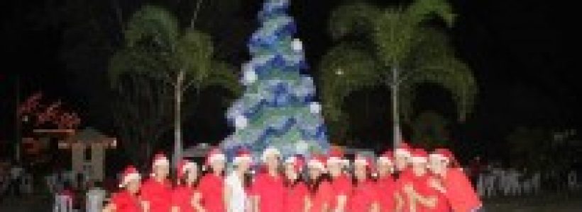 base_aerea_arbol_210_120