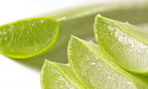 citricos