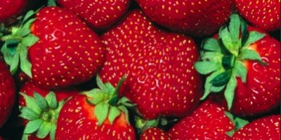 frutas_que_ayudan_a_rebajar